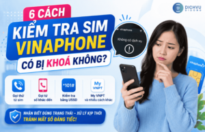 kiem tra tinh trang sim vinaphone