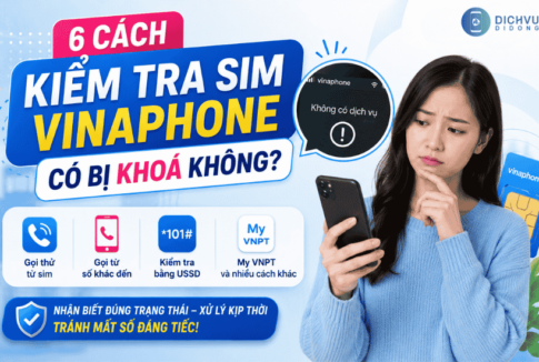kiem tra tinh trang sim vinaphone