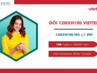 goi cuoc 12mxh100 viettel