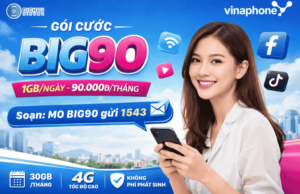 goi cuoc big90 vinaphone
