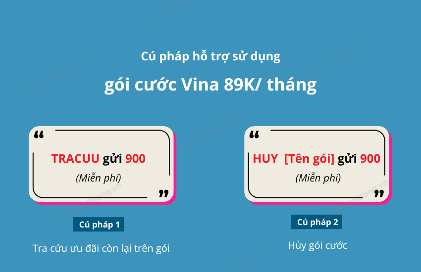 Cu phap ho tro su dung goi VinaPhone 89K 1 thang