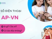 ap-vn la so dien thoai gi?