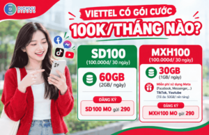 goi cuoc viettel 100k 1 thang