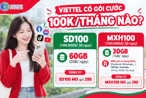 goi cuoc viettel 100k 1 thang