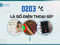 so dien thoai 0203 o dau