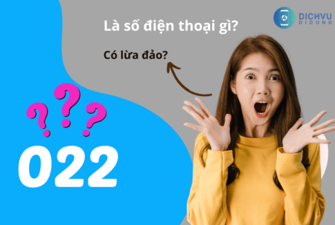 022 la dau so gi