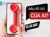 dau so 021 cua ai