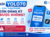 goi cuoc yolo70 vinaphone