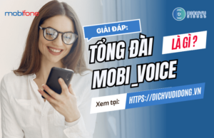 tong dai mobi voice la gi