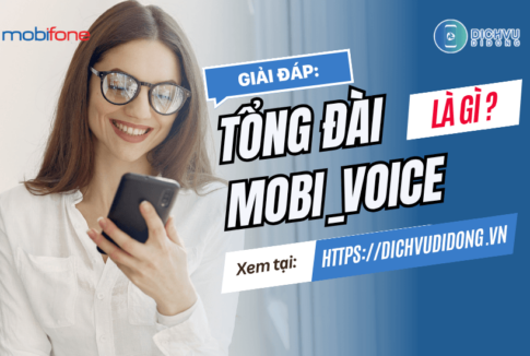 tong dai mobi voice la gi